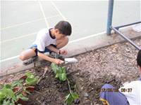 1010508小園丁實務工作