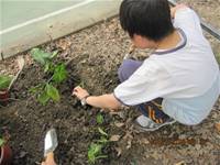 1010508小園丁實務工作