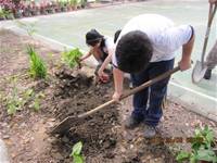 1010508小園丁實務工作