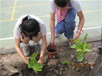 1010508小園丁實務工作