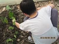 1010508小園丁實務工作