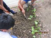 1010508小園丁實務工作