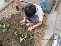 1010508小園丁實務工作