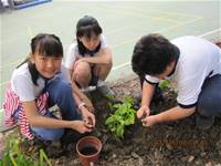 1010508小園丁實務工作