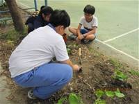 1010508小園丁實務工作