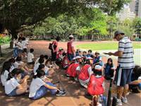 100學年度五年級樂樂棒球比賽