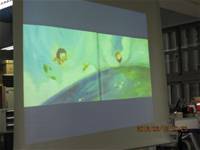 1010612神奇故事樹-12叩叩自然