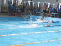 臺北市第八屆市長盃校際游泳大隊接力競賽