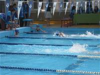 臺北市第八屆市長盃校際游泳大隊接力競賽