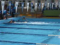 臺北市第八屆市長盃校際游泳大隊接力競賽