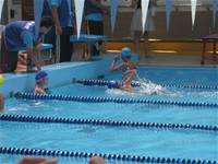 臺北市第八屆市長盃校際游泳大隊接力競賽