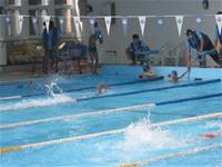 臺北市第八屆市長盃校際游泳大隊接力競賽