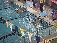 101南區運動會游泳與田徑比賽榮獲佳績