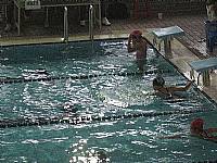 101南區運動會游泳與田徑比賽榮獲佳績