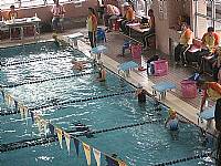 101南區運動會游泳與田徑比賽榮獲佳績