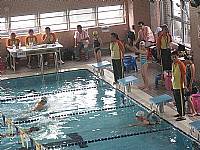 101南區運動會游泳與田徑比賽榮獲佳績