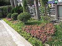 校園綠化美化