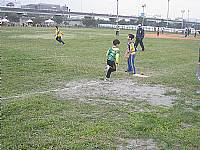 本校511班榮獲臺北市101學年度教育盃國小樂樂棒球錦標賽殿軍