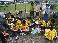 本校511班榮獲臺北市101學年度教育盃國小樂樂棒球錦標賽殿軍