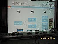 認識蜘蛛