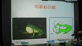 認識青蛙