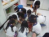 藝才班迎新活動