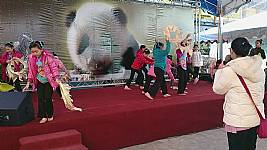 103_1_19_本校舞蹈團於動物園歡慶小貓熊圓仔開展表演活動