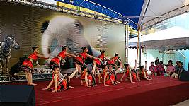103_1_19_本校舞蹈團於動物園歡慶小貓熊圓仔開展表演活動