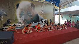 103_1_19_本校舞蹈團於動物園歡慶小貓熊圓仔開展表演活動