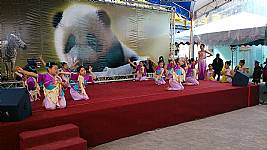 103_1_19_本校舞蹈團於動物園歡慶小貓熊圓仔開展表演活動