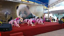103_1_19_本校舞蹈團於動物園歡慶小貓熊圓仔開展表演活動