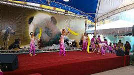 103_1_19_本校舞蹈團於動物園歡慶小貓熊圓仔開展表演活動