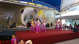 103_1_19_本校舞蹈團於動物園歡慶小貓熊圓仔開展表演活動