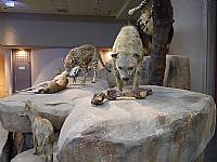 2014 畢業旅行