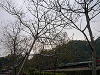 2014 畢業旅行