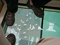 2014 畢業旅行