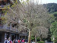 2014 畢業旅行