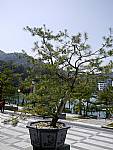 2014 畢業旅行