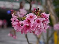 2014 畢業旅行