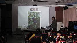 二年級視力保健課程