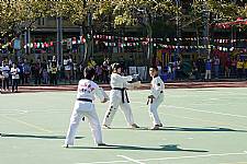2014/11/22 建安國小校慶暨體育表演會(相機3)