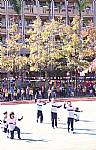 2014/11/22 建安國小校慶暨體育表演會(相機4)