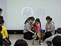 1051月11日（一）寶貝狗協會蒞校宣導