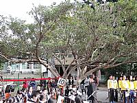 105『老樹搬遷、老屋新建～金猴獻瑞、牽手賀建安』祈福活動