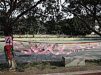 105『老樹搬遷、老屋新建～金猴獻瑞、牽手賀建安』祈福活動