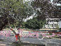 105『老樹搬遷、老屋新建～金猴獻瑞、牽手賀建安』祈福活動