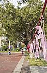 105『老樹搬遷、老屋新建～金猴獻瑞、牽手賀建安』祈福活動