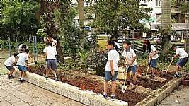 小田園活動