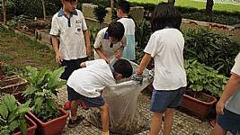 小田園活動