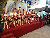 相簿「103_1_19_本校舞蹈團於動物園歡慶小貓熊圓仔開展表演活動」封面